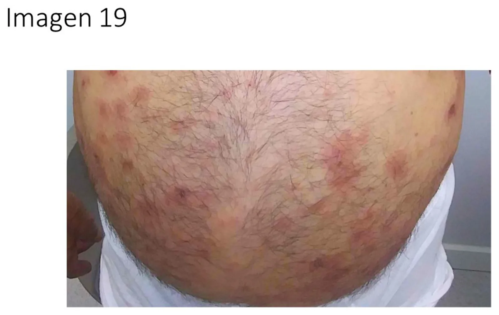 Imagen 1 de 1 de la pregunta 19